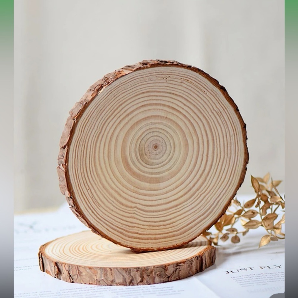 1set/6pcs 10-12cm Round Pine Wood Slices For Diy Crafts - Picture 5 of 16